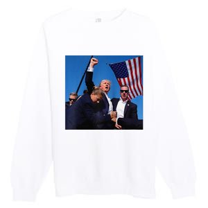 Donald Trump Fight Fist 2024 Raglan Baseball Premium Crewneck Sweatshirt