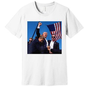 Donald Trump Fight Fist 2024 Raglan Baseball Premium T-Shirt