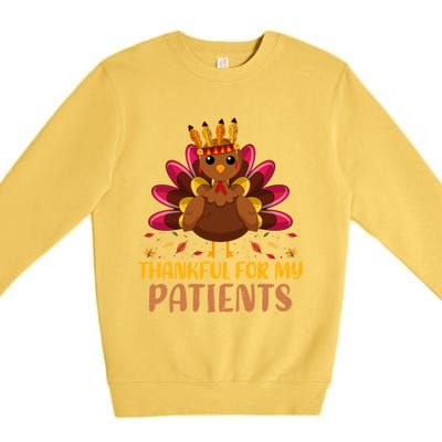 Doctor Thankful For My Patients Nurse Thanksgiving Meaningful Gift Premium Crewneck Sweatshirt