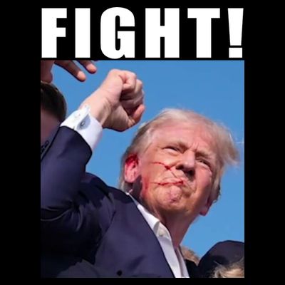 Donald Trump Fight! Trump Shot Trump Rally 7 13 2024 T-Shirt