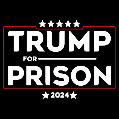 Donald Trump For Prison 2024 Trump In Jail Funny Prison Go Straight To Jail T-Shirt