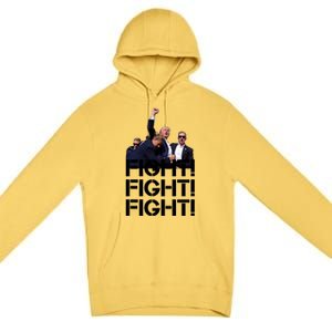 Donald Trump Fight Fight Fight Save America Premium Pullover Hoodie