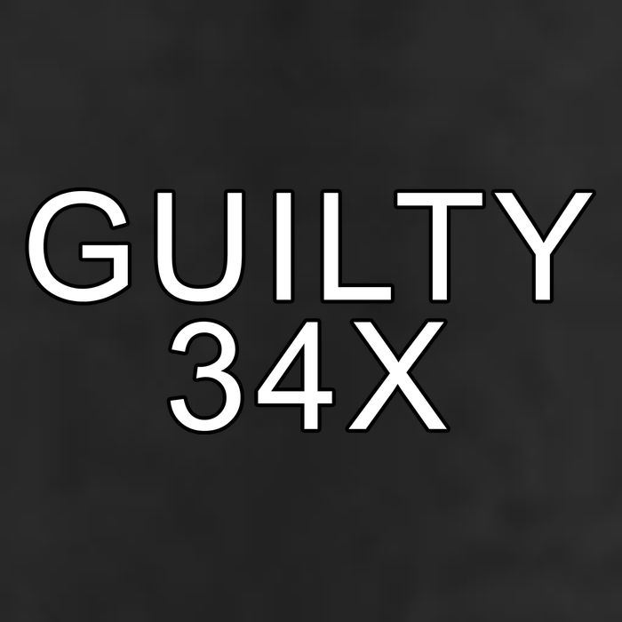 Donald Trump Guilty On 34 Counts Garment-Dyed Heavyweight T-Shirt