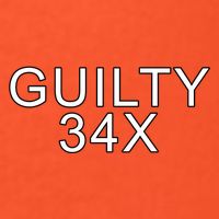 Donald Trump Guilty On 34 Counts Visor