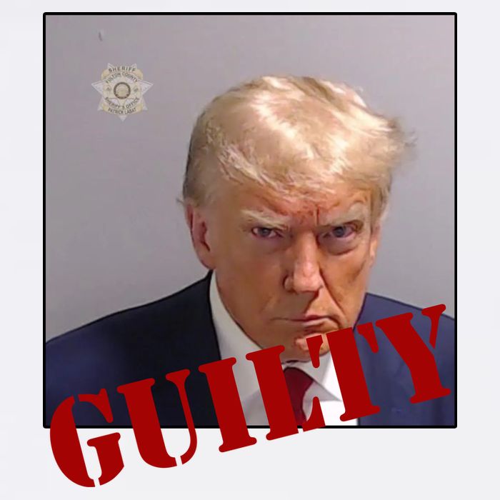 Donald Trump Guilty Mugshot Flatbill Hat