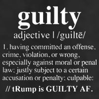 Donald Trump Guilty Definition Felony 7 Panel Mesh Trucker Snapback Hat