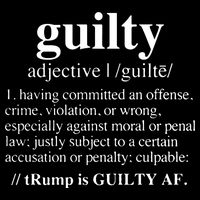Donald Trump Guilty Definition Felony Flatbill Hat