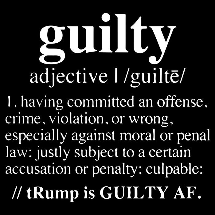 Donald Trump Guilty Definition Felony Flatbill Hat