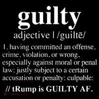 Donald Trump Guilty Definition Felony Poster
