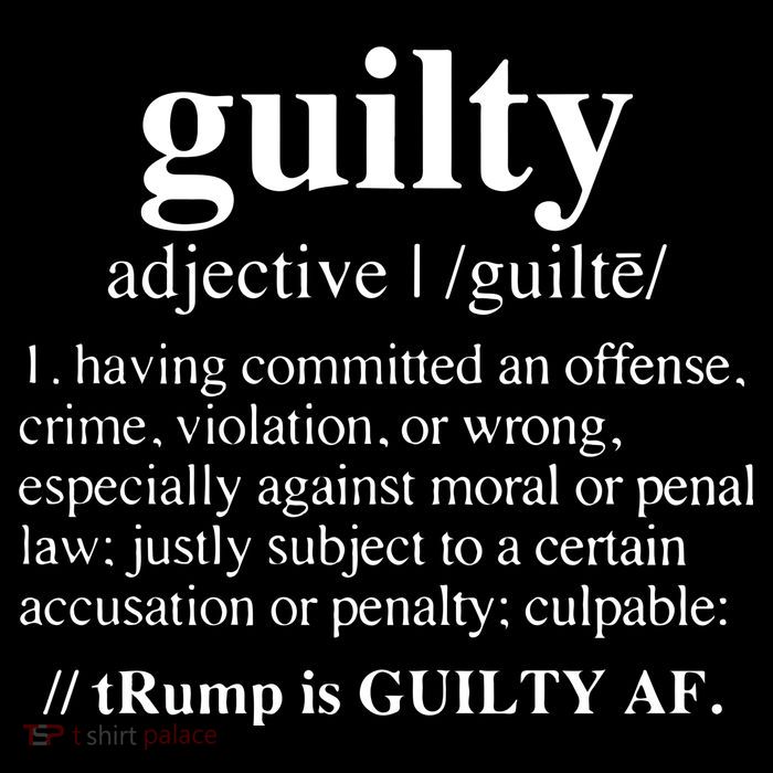 Donald Trump Guilty Definition Felony Poster