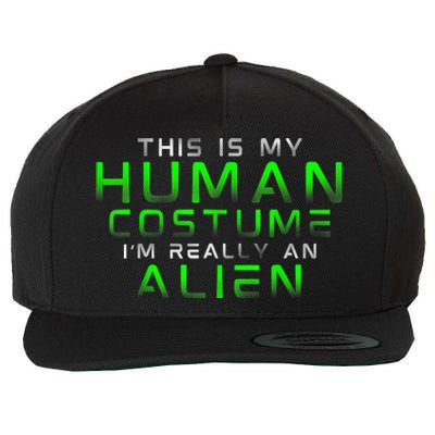 Distressed This Is My Human Costume IM Really An Alien Wool Snapback Cap