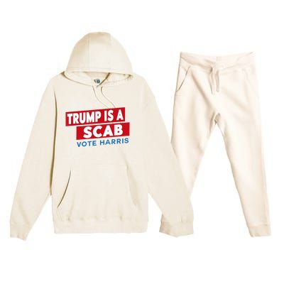 Donald Trump Is A Scab Vote Harris Premium Hooded Sweatsuit Set