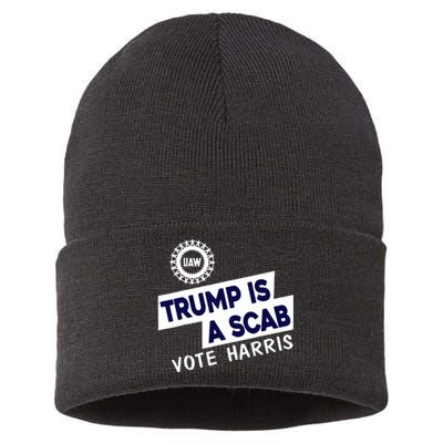 Donald Trump Is A Scab Vote Harris Anti Trump We Are Not Going Back Sustainable Knit Beanie