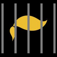 Donald Trump Impeach Anti Trump Behind Bars Flatbill Hat