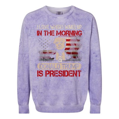 Donald Trump Is My President Colorblast Crewneck Sweatshirt