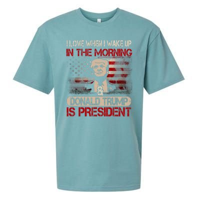 Donald Trump Is My President Sueded Cloud Jersey T-Shirt