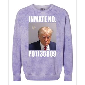 Donald Trump Inmate Number Mugshot Colorblast Crewneck Sweatshirt