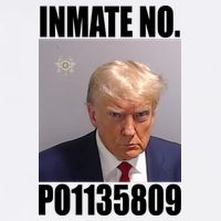 Donald Trump Inmate Number Mugshot Kids T-Shirt