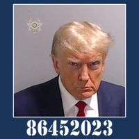 Donald Trump Inmate Mugshot Button
