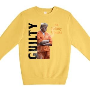 Donald Trump Is Guilty 34 Felony Counts Premium Crewneck Sweatshirt