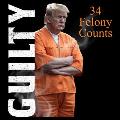 Donald Trump Is Guilty 34 Felony Counts T-Shirt