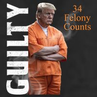 Donald Trump Is Guilty 34 Felony Counts Adult Drive Performance Visor