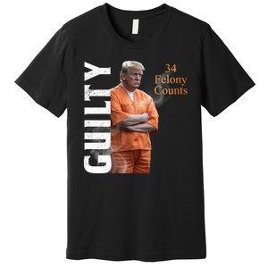 Donald Trump Is Guilty 34 Felony Counts Premium T-Shirt