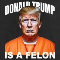 Donald Trump Is A Felon Cool Comfort Performance Bucket Hat