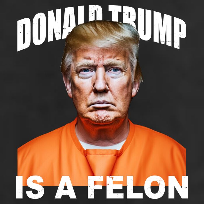 Donald Trump Is A Felon Cool Comfort Performance Bucket Hat