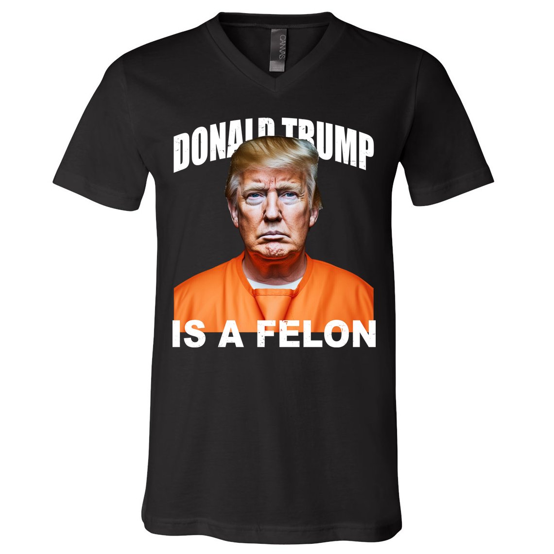 Donald Trump Is A Felon V-Neck T-Shirt