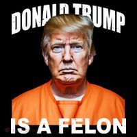 Donald Trump Is A Felon 16 in Basic Backpack