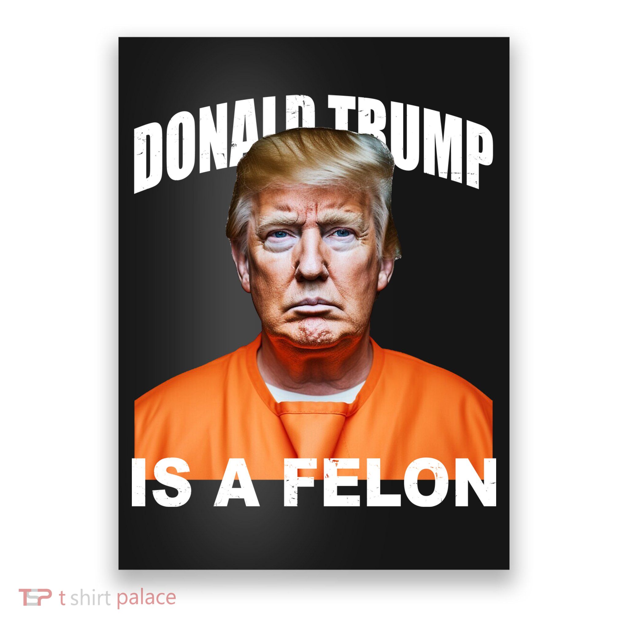 Donald Trump Is A Felon Poster