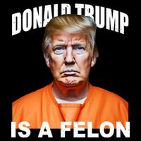 Donald Trump Is A Felon Tie-Dye T-Shirt