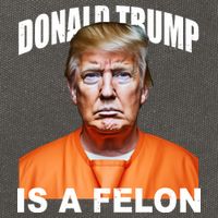 Donald Trump Is A Felon Cotton Canvas Backpack