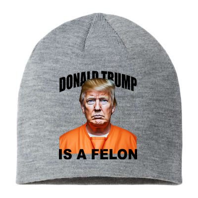 Donald Trump Is A Felon Sustainable Beanie