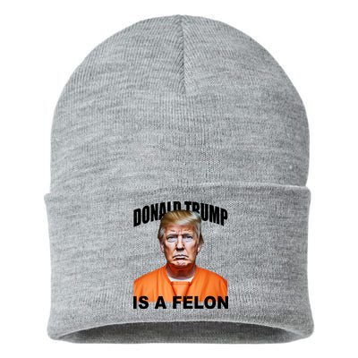 Donald Trump Is A Felon Sustainable Knit Beanie