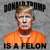 Donald Trump Is A Felon Toddler T-Shirt