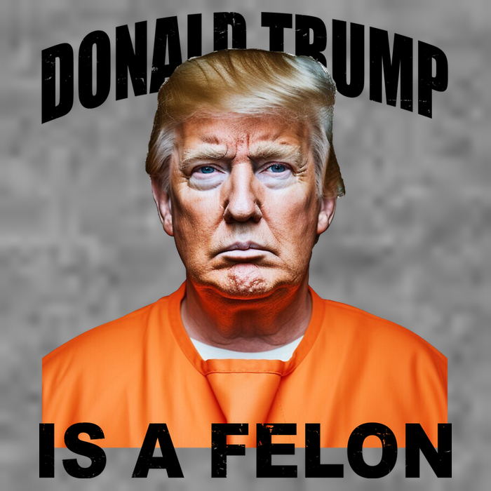Donald Trump Is A Felon Women's V-Neck T-Shirt