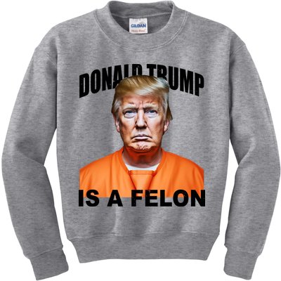 Donald Trump Is A Felon Kids Sweatshirt