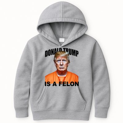 Donald Trump Is A Felon Kids Hoodie