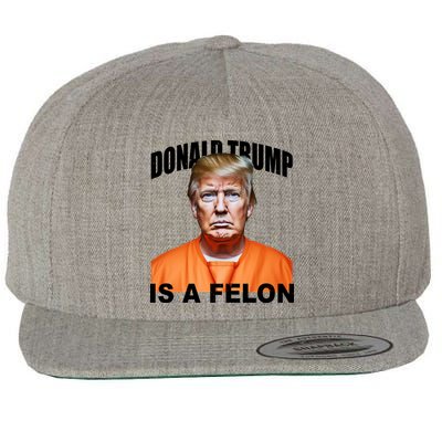 Donald Trump Is A Felon Wool Snapback Cap