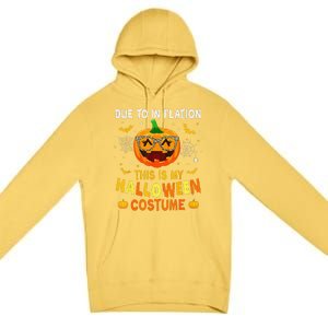 Due To Inflation This Is My Halloween Costume Premium Pullover Hoodie