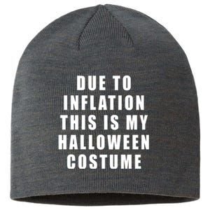 Due To Inflation This Is My Halloween Costume Sustainable Beanie