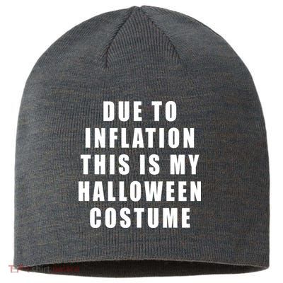 Due To Inflation This Is My Halloween Costume Sustainable Beanie