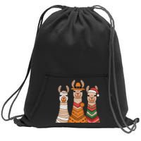 Due To Inflation Halloween Thanksgiving Christmas Llama Sweatshirt Cinch Pack Bag