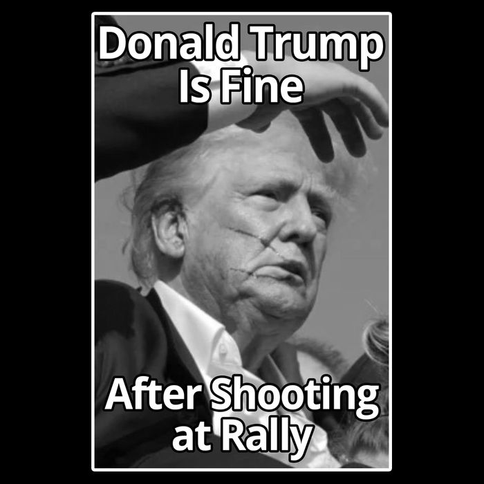 Donald Trump Is Fine After Shooting At Rally Button