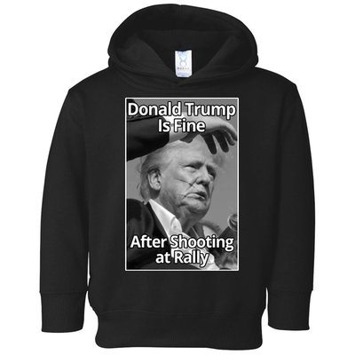 Donald Trump Is Fine After Shooting At Rally Toddler Hoodie
