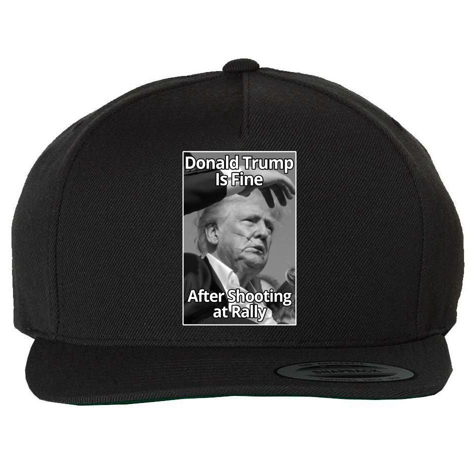 Donald Trump Is Fine After Shooting At Rally Wool Snapback Cap