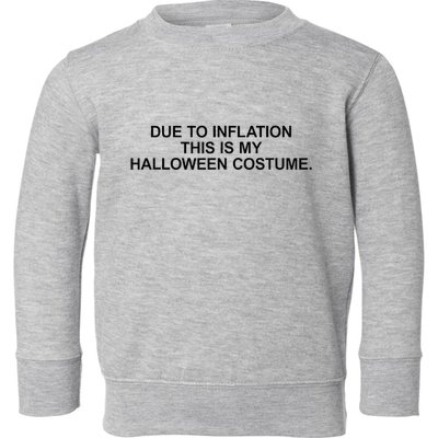 Due To Inflation This Is My Halloween Costume Generic Funny Toddler Sweatshirt