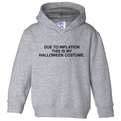 Due To Inflation This Is My Halloween Costume Generic Funny Toddler Hoodie
